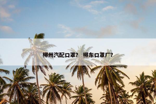 柳州汽配口罩？ 柳东口罩厂？