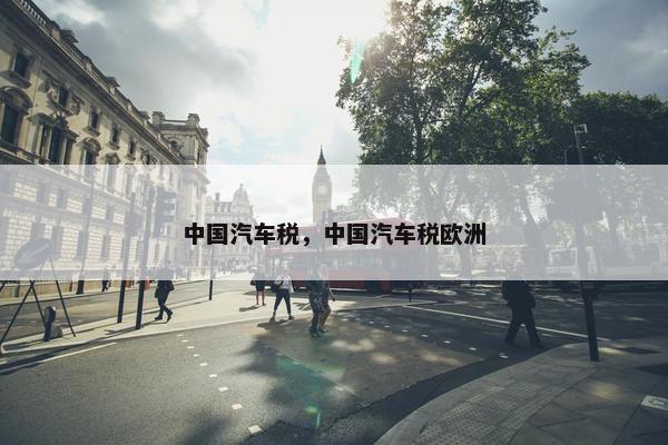 中国汽车税，中国汽车税欧洲