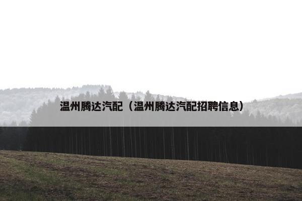 温州腾达汽配（温州腾达汽配招聘信息）