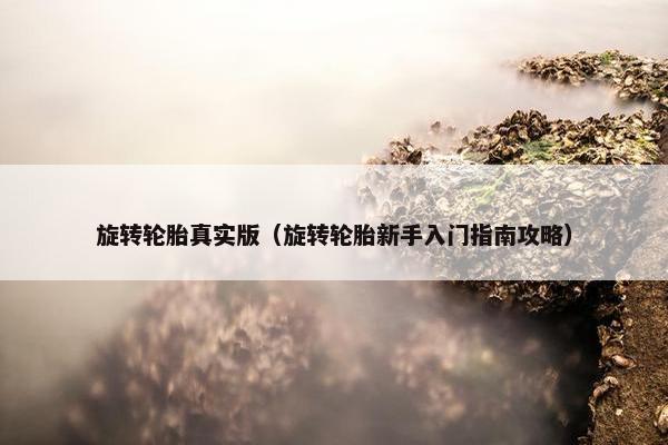 旋转轮胎真实版（旋转轮胎新手入门指南攻略）