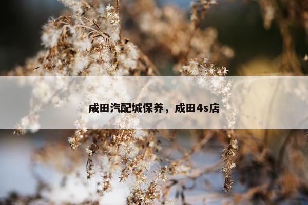 成田汽配城保养，成田4s店