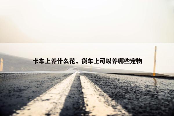卡车上养什么花，货车上可以养哪些宠物
