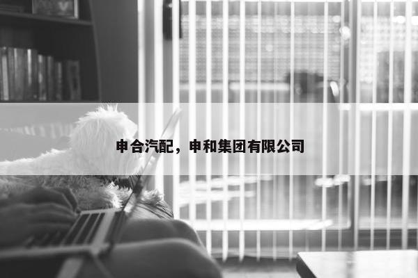 申合汽配，申和集团有限公司