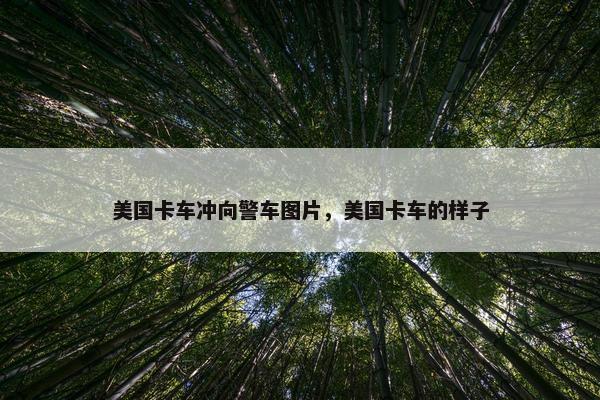 美国卡车冲向警车图片，美国卡车的样子