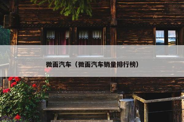 微面汽车（微面汽车销量排行榜）
