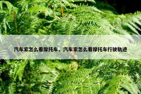 汽车家怎么看摩托车，汽车家怎么看摩托车行驶轨迹