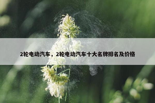 2轮电动汽车，2轮电动汽车十大名牌排名及价格