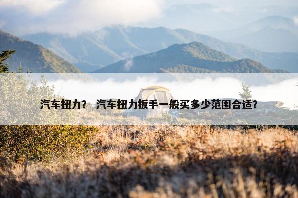 汽车扭力？ 汽车扭力扳手一般买多少范围合适？
