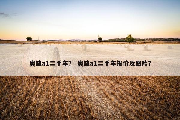 奥迪a1二手车？ 奥迪a1二手车报价及图片？