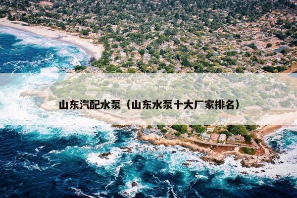 山东汽配水泵（山东水泵十大厂家排名）