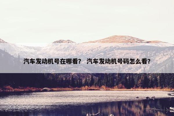 汽车发动机号在哪看？ 汽车发动机号码怎么看？