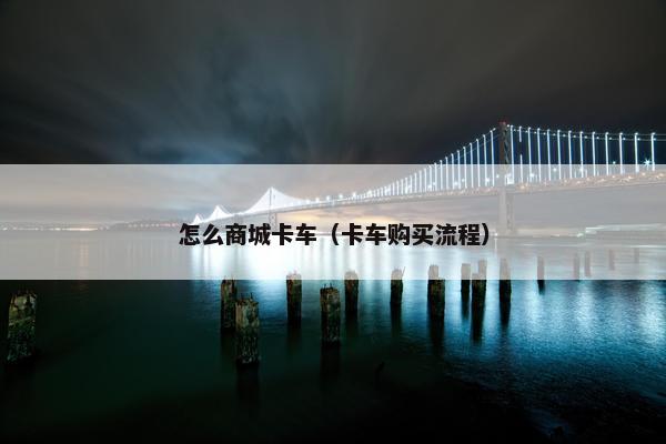 怎么商城卡车（卡车购买流程）