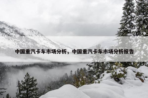 中国重汽卡车市场分析，中国重汽卡车市场分析报告