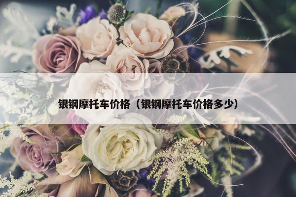 银钢摩托车价格（银钢摩托车价格多少）