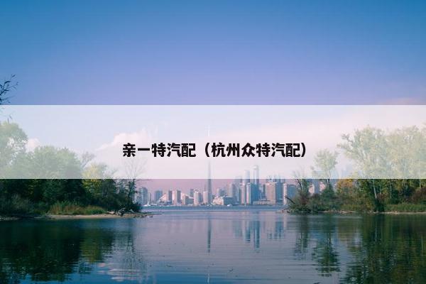 亲一特汽配（杭州众特汽配）