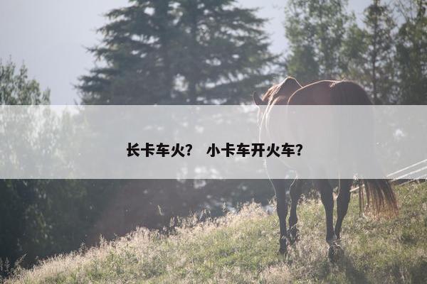 长卡车火？ 小卡车开火车？