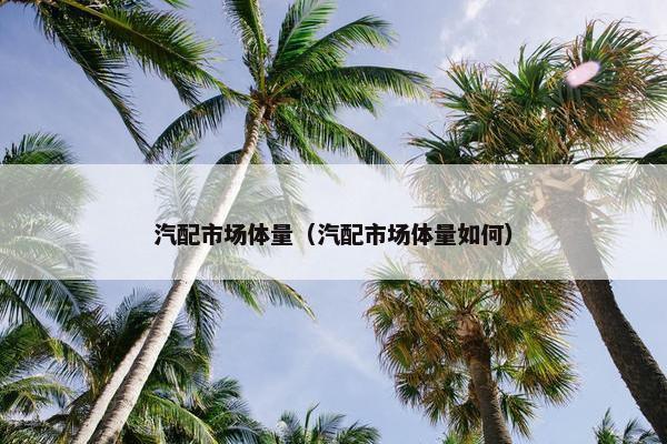 汽配市场体量（汽配市场体量如何）