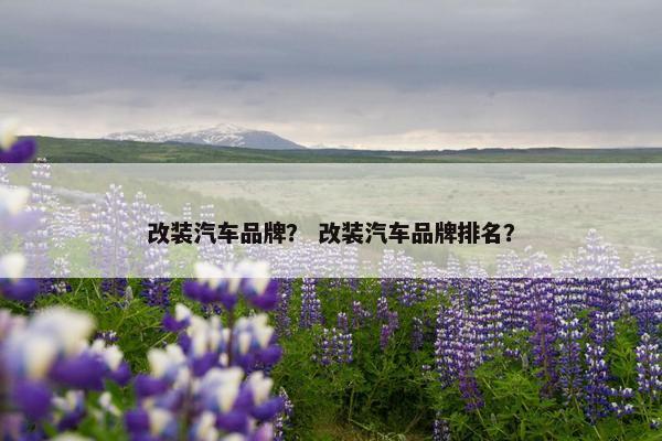 改装汽车品牌？ 改装汽车品牌排名？