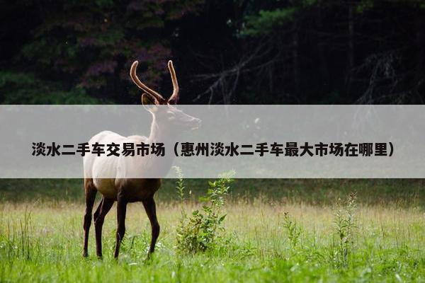 淡水二手车交易市场（惠州淡水二手车最大市场在哪里）
