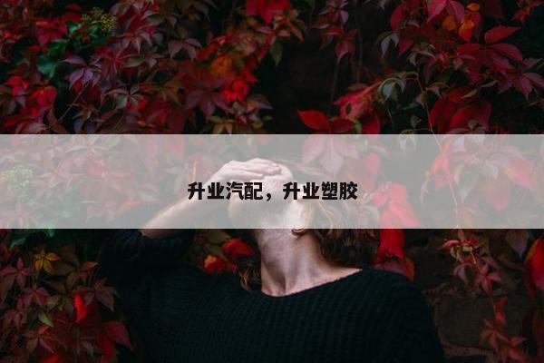 升业汽配，升业塑胶