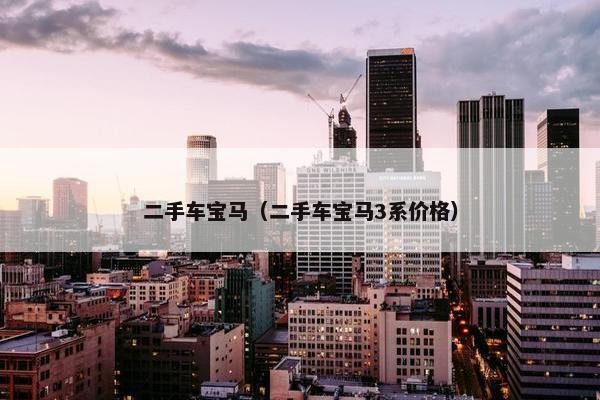 二手车宝马（二手车宝马3系价格）