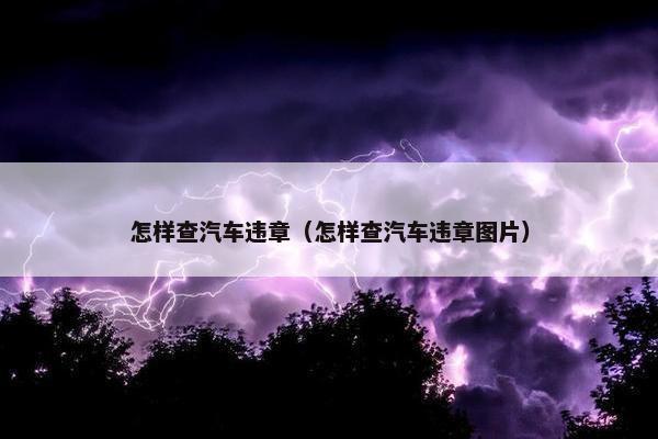 怎样查汽车违章（怎样查汽车违章图片）