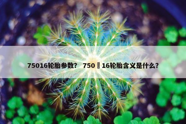 75016轮胎参数？ 750–16轮胎含义是什么？