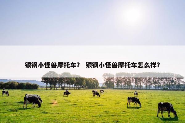 银钢小怪兽摩托车？ 银钢小怪兽摩托车怎么样？