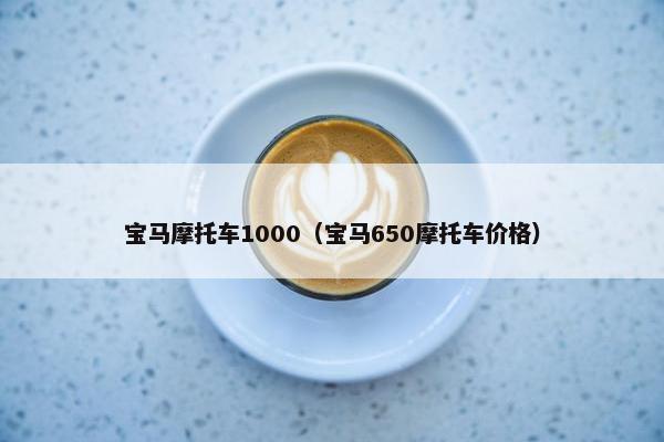 宝马摩托车1000（宝马650摩托车价格）