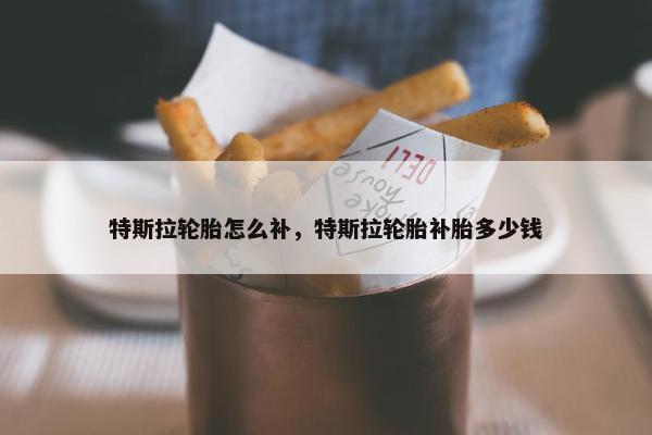 特斯拉轮胎怎么补，特斯拉轮胎补胎多少钱