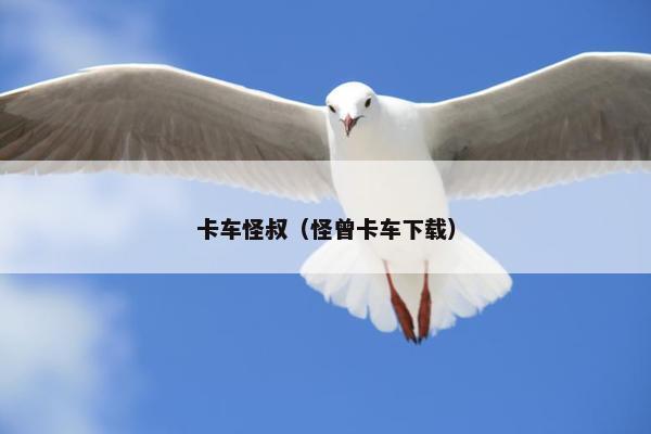卡车怪叔（怪曾卡车下载）