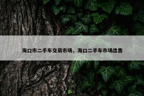 海口市二手车交易市场，海口二手车市场出售