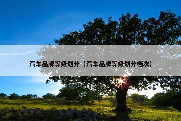 汽车品牌等级划分（汽车品牌等级划分档次）