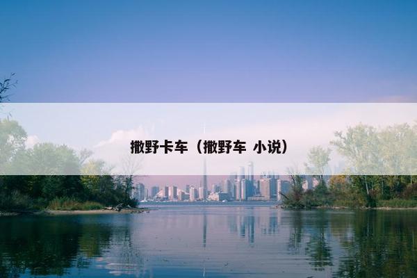 撒野卡车（撒野车 小说）