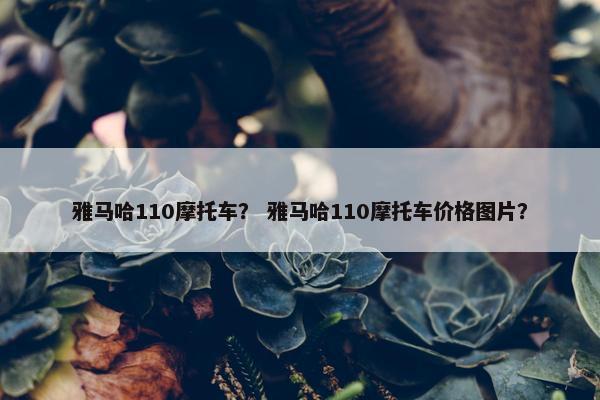 雅马哈110摩托车？ 雅马哈110摩托车价格图片？