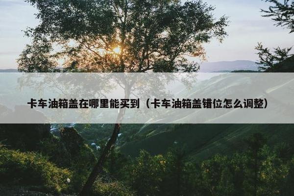 卡车油箱盖在哪里能买到（卡车油箱盖错位怎么调整）