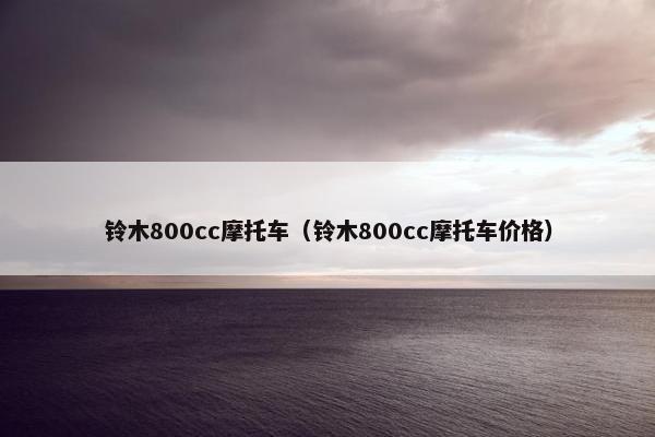 铃木800cc摩托车（铃木800cc摩托车价格）