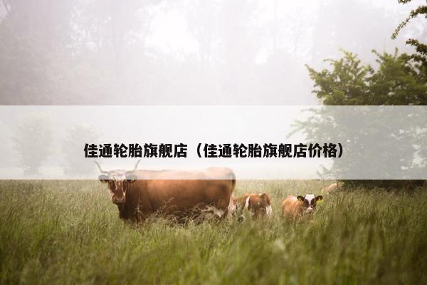 佳通轮胎旗舰店（佳通轮胎旗舰店价格）