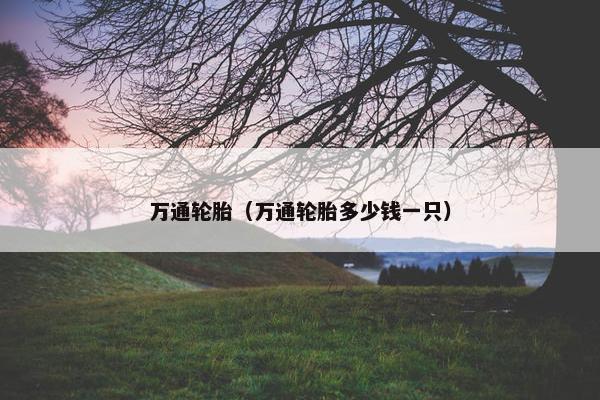 万通轮胎（万通轮胎多少钱一只）