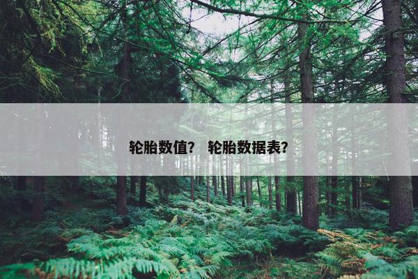 轮胎数值？ 轮胎数据表？