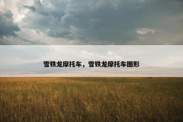 雪铁龙摩托车，雪铁龙摩托车图形
