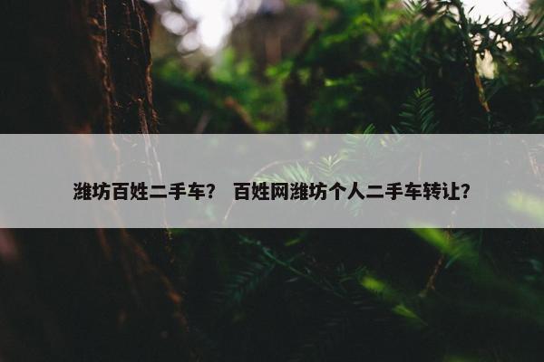 潍坊百姓二手车？ 百姓网潍坊个人二手车转让？