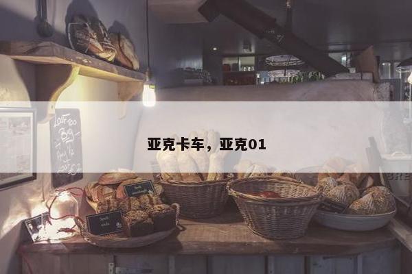 亚克卡车，亚克01