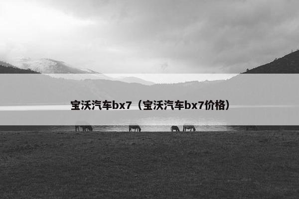 宝沃汽车bx7（宝沃汽车bx7价格）