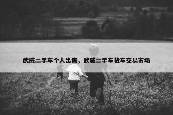 武威二手车个人出售，武威二手车货车交易市场