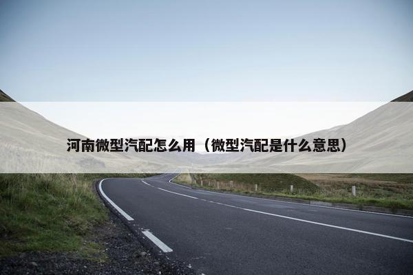 河南微型汽配怎么用（微型汽配是什么意思）