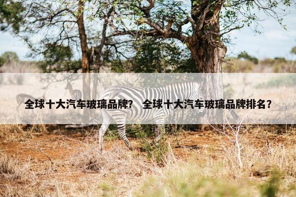 全球十大汽车玻璃品牌？ 全球十大汽车玻璃品牌排名？