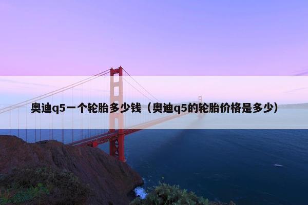 奥迪q5一个轮胎多少钱（奥迪q5的轮胎价格是多少）