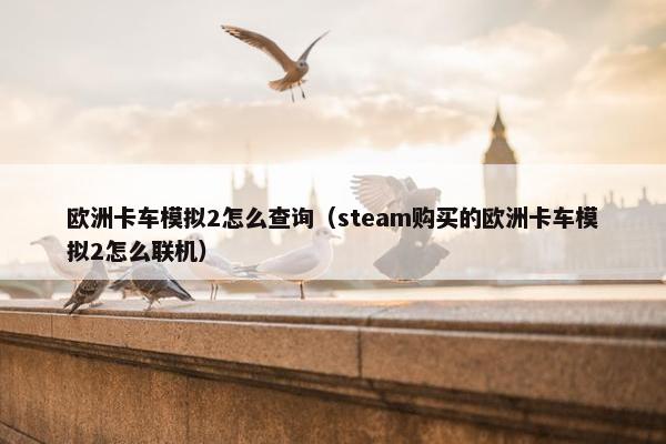欧洲卡车模拟2怎么查询（steam购买的欧洲卡车模拟2怎么联机）