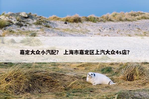 嘉定大众小汽配？ 上海市嘉定区上汽大众4s店？